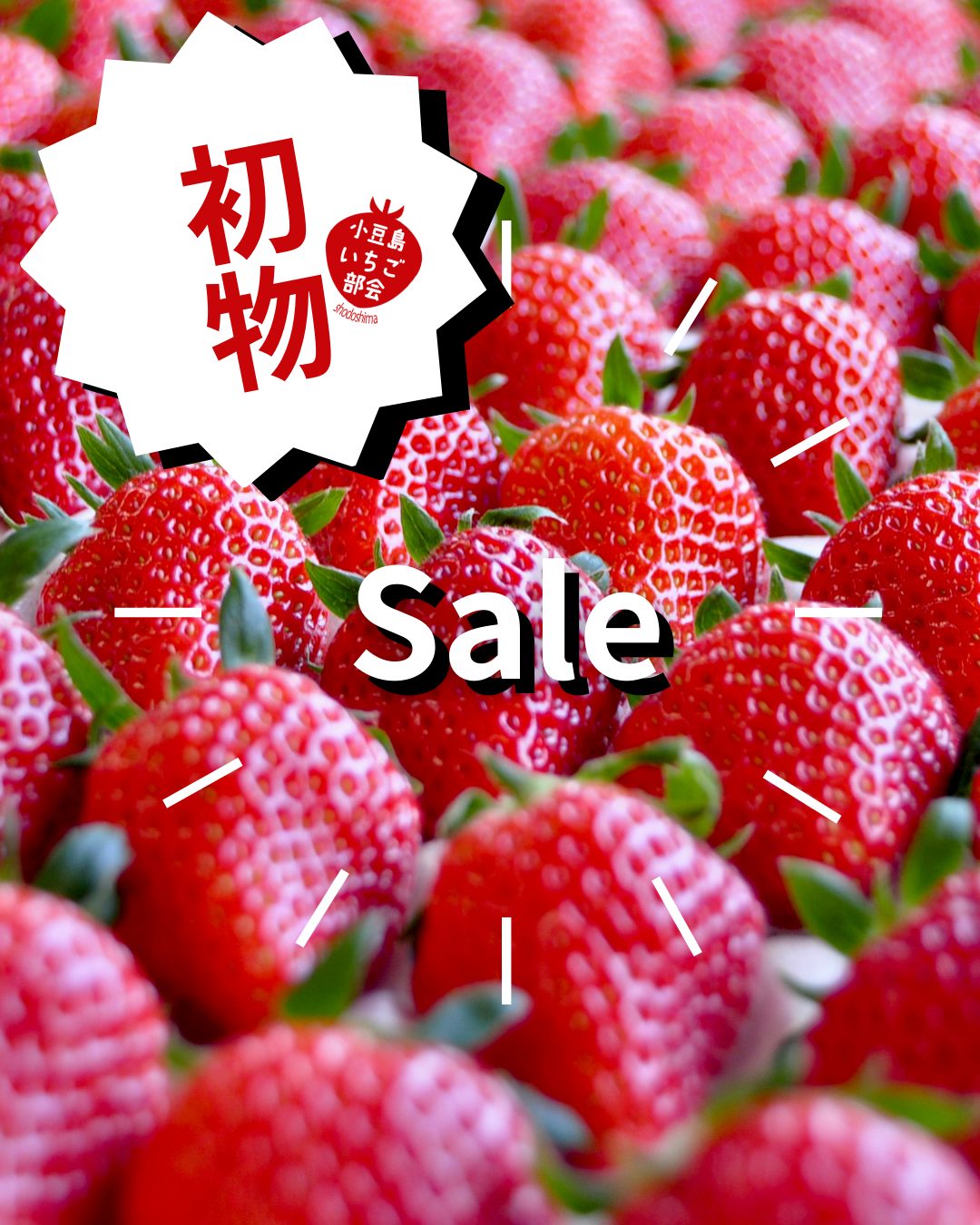 小豆島のいちご　女峰いちご　初物セール