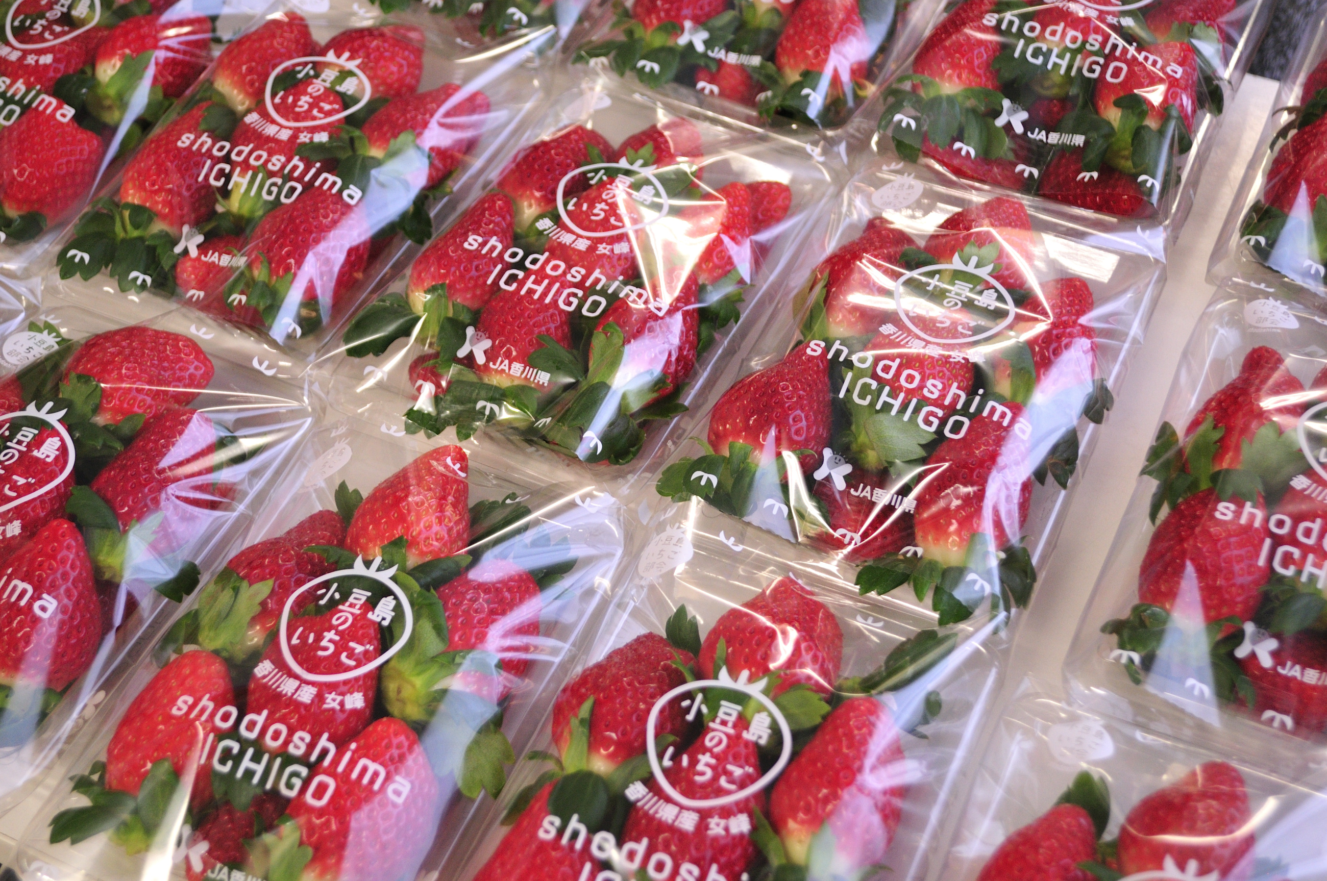 小豆島のいちご　女峰いちご