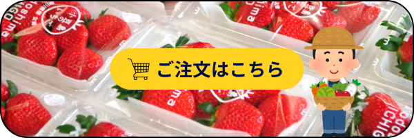小豆島のいちご 女峰いちご 通販