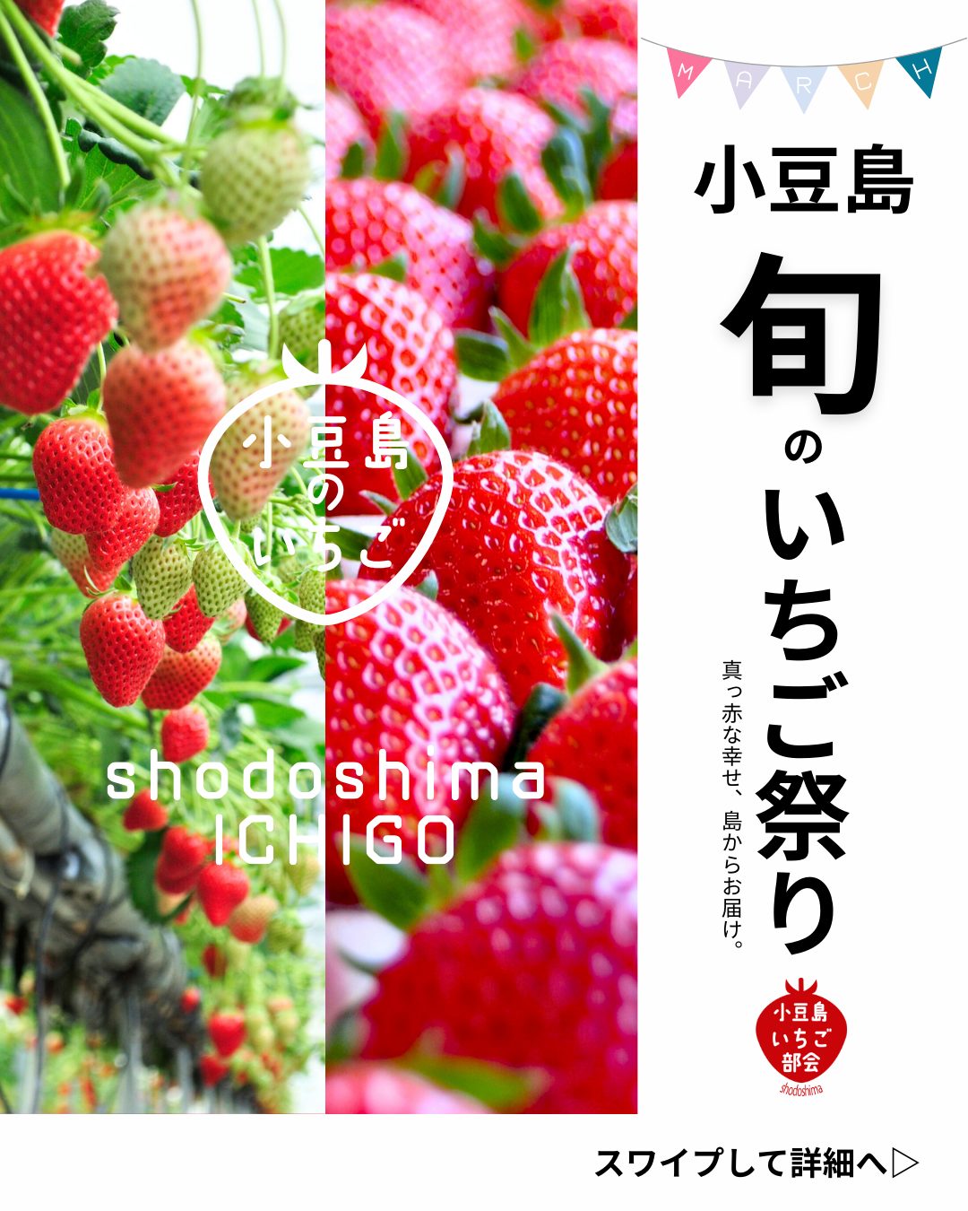 今が旬！小豆島のいちご祭り🍓