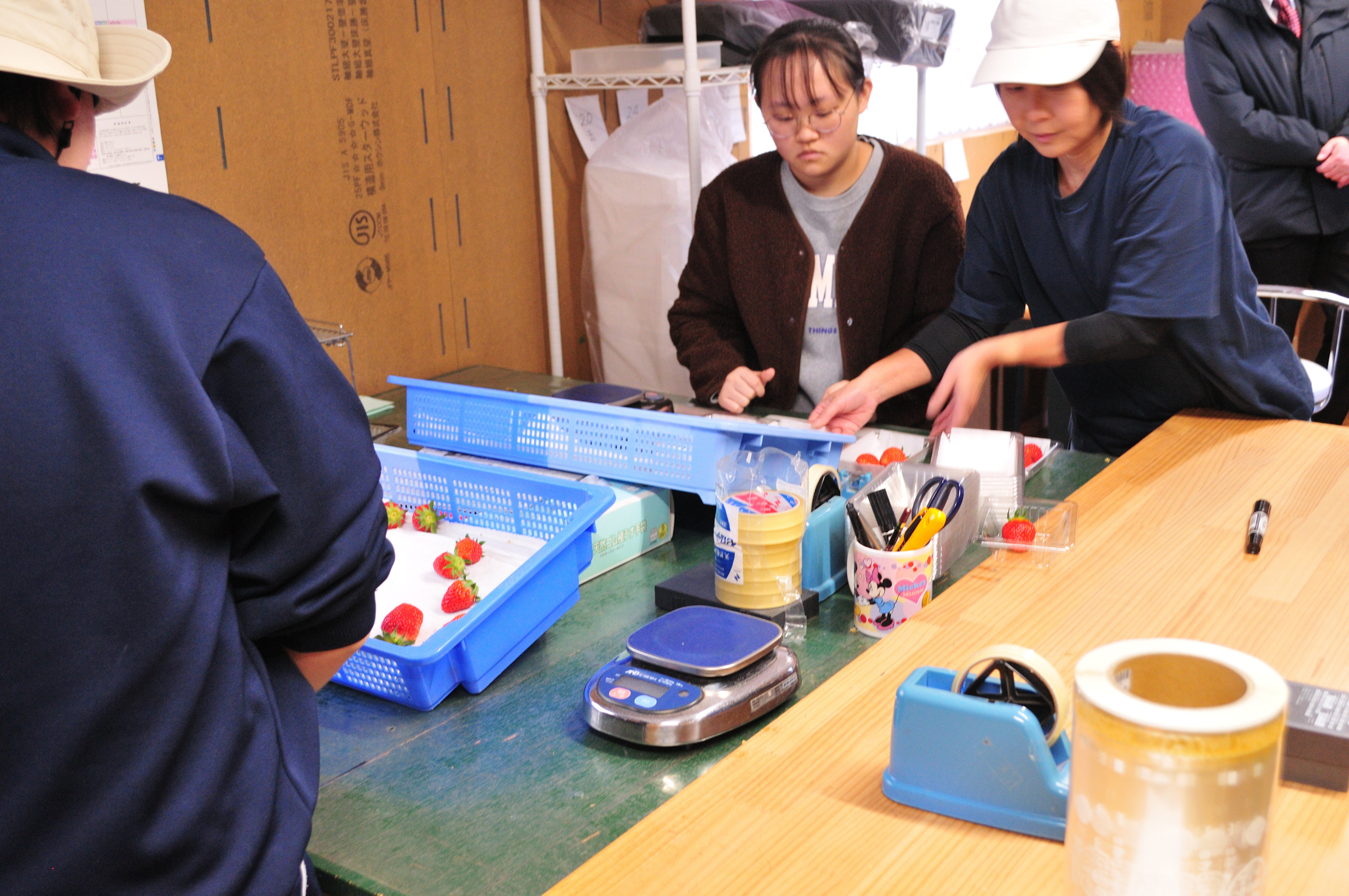 職業体験に来ていただきました。